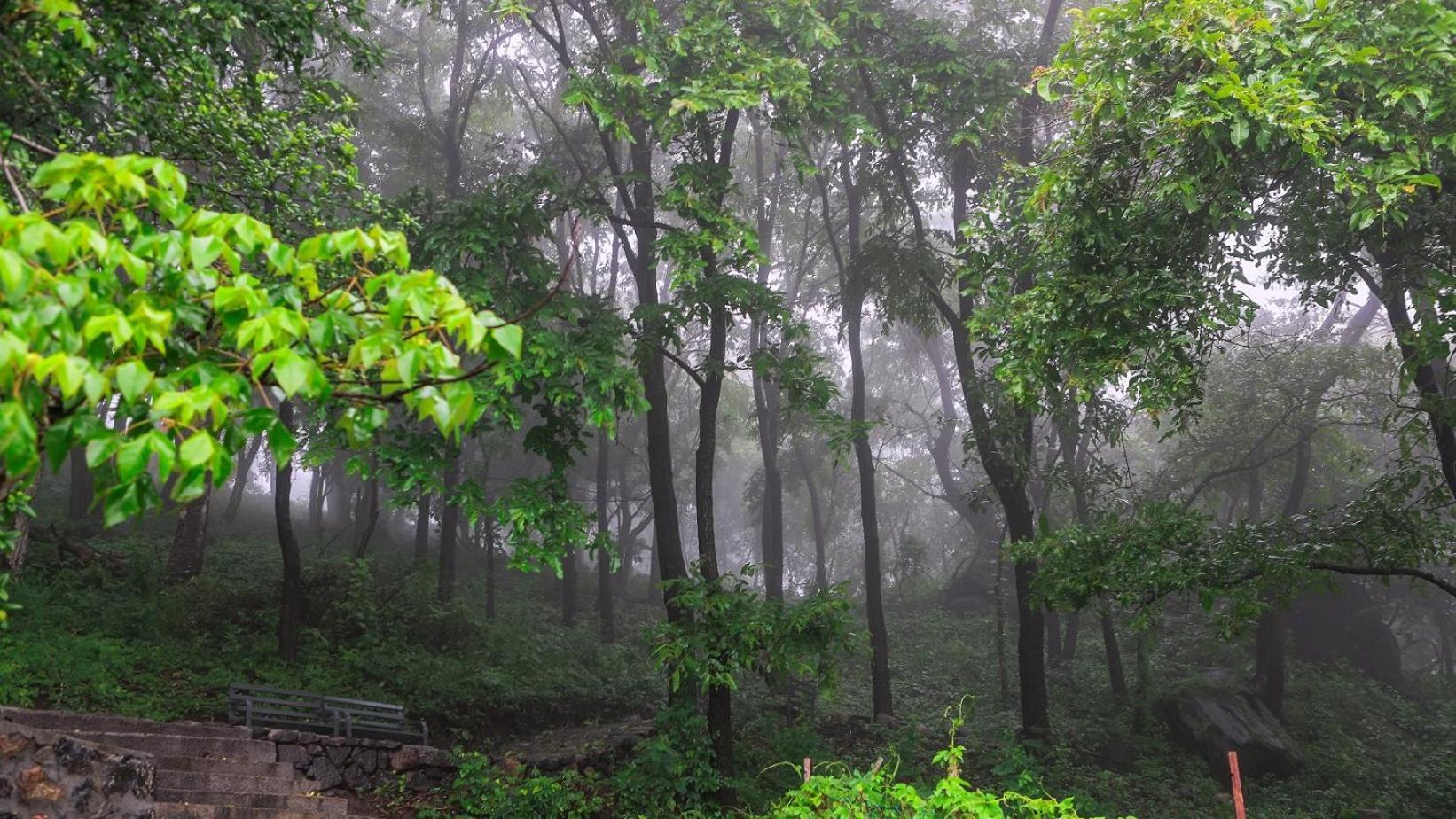 Misty Green Hills Parks & Resorts Kondotty Exterior photo