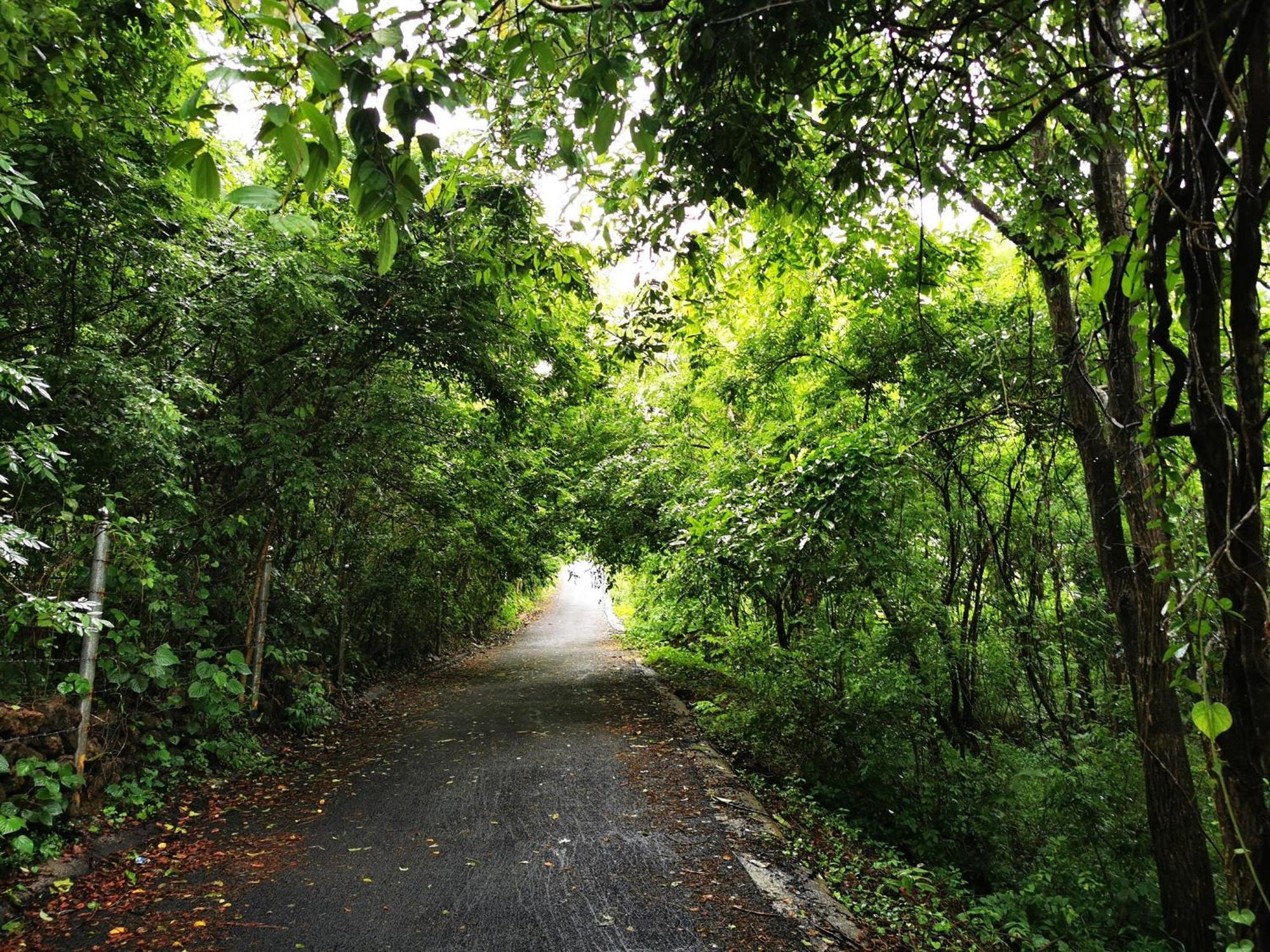 Misty Green Hills Parks & Resorts Kondotty Exterior photo